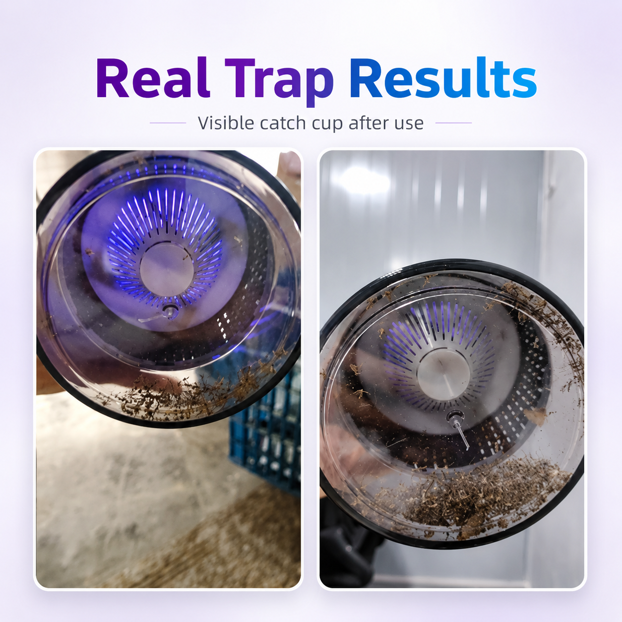 Silent Flying Insect Trap & Night Light for Mosquitoes Fruit Flies Gnats and Moths -FD6U