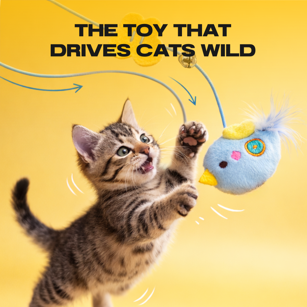 BUNGEE Interactive Cat Toy Interactive Bouncing Cat Toy Helps Reduce Boredom, Stress & Destructive Behavior-A