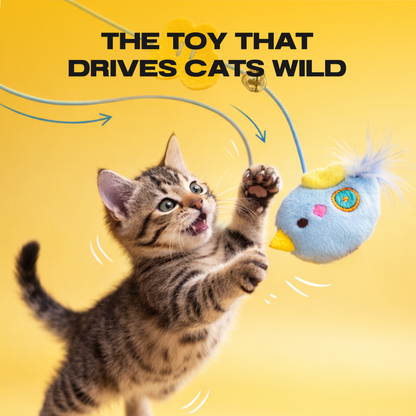 BUNGEE Interactive Cat Toy Interactive Bouncing Cat Toy Helps Reduce Boredom, Stress & Destructive Behavior-A