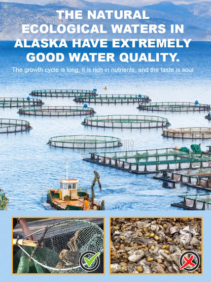 Mild Spicy Alaskan Snow Crab Crisps-FD6U